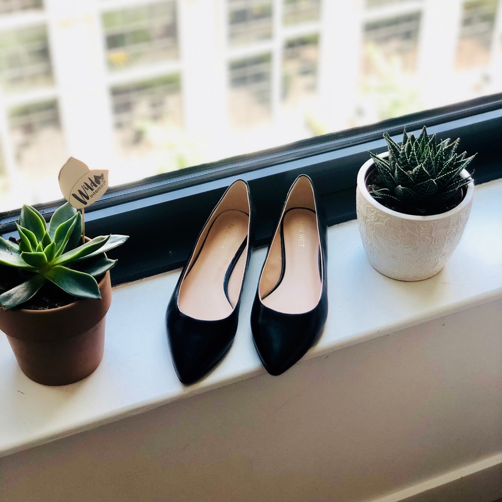 Pointed Toe Flats